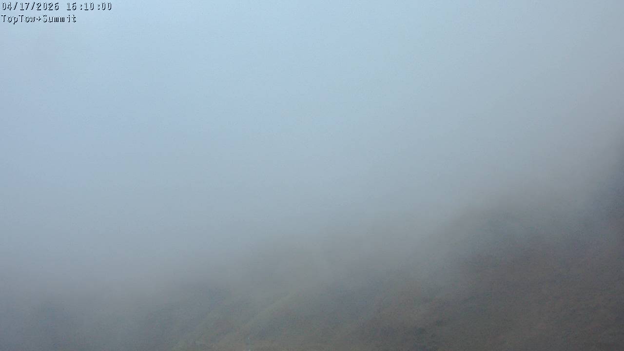 Top Tow, fixed zoom lens camera