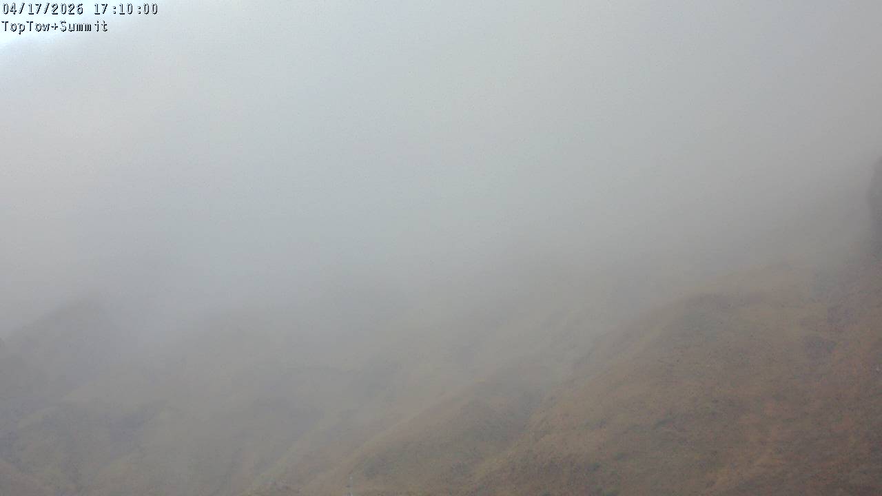 Top Tow, fixed zoom lens camera