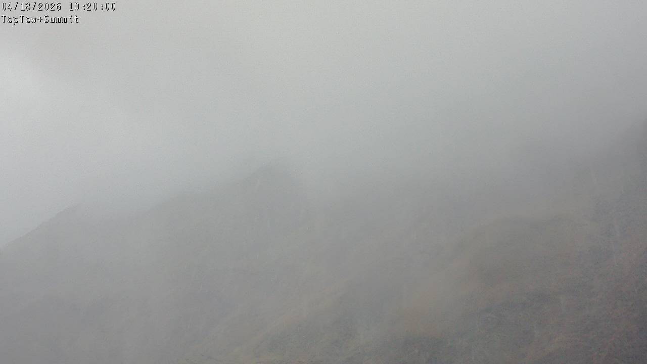 Top Tow, fixed zoom lens camera