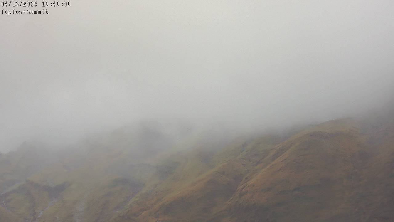 Top Tow, fixed zoom lens camera