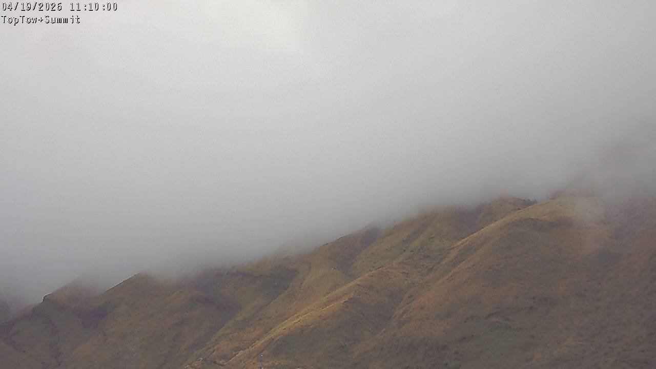 Top Tow, fixed zoom lens camera