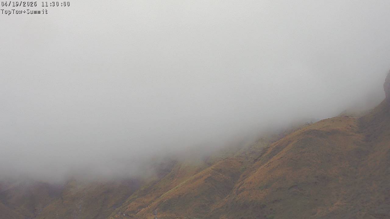 Top Tow, fixed zoom lens camera