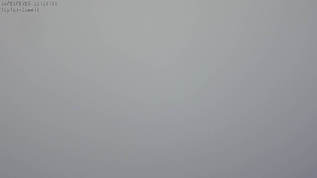 Top Tow, fixed zoom lens camera