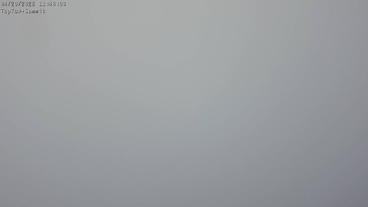 Top Tow, fixed zoom lens camera