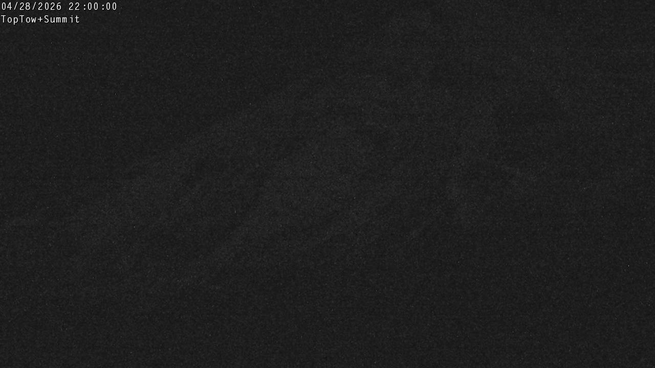 Top Tow, fixed zoom lens camera