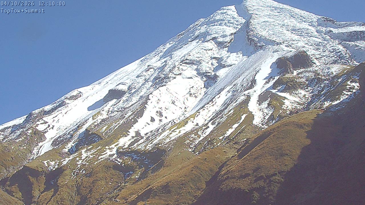 Top Tow, fixed zoom lens camera