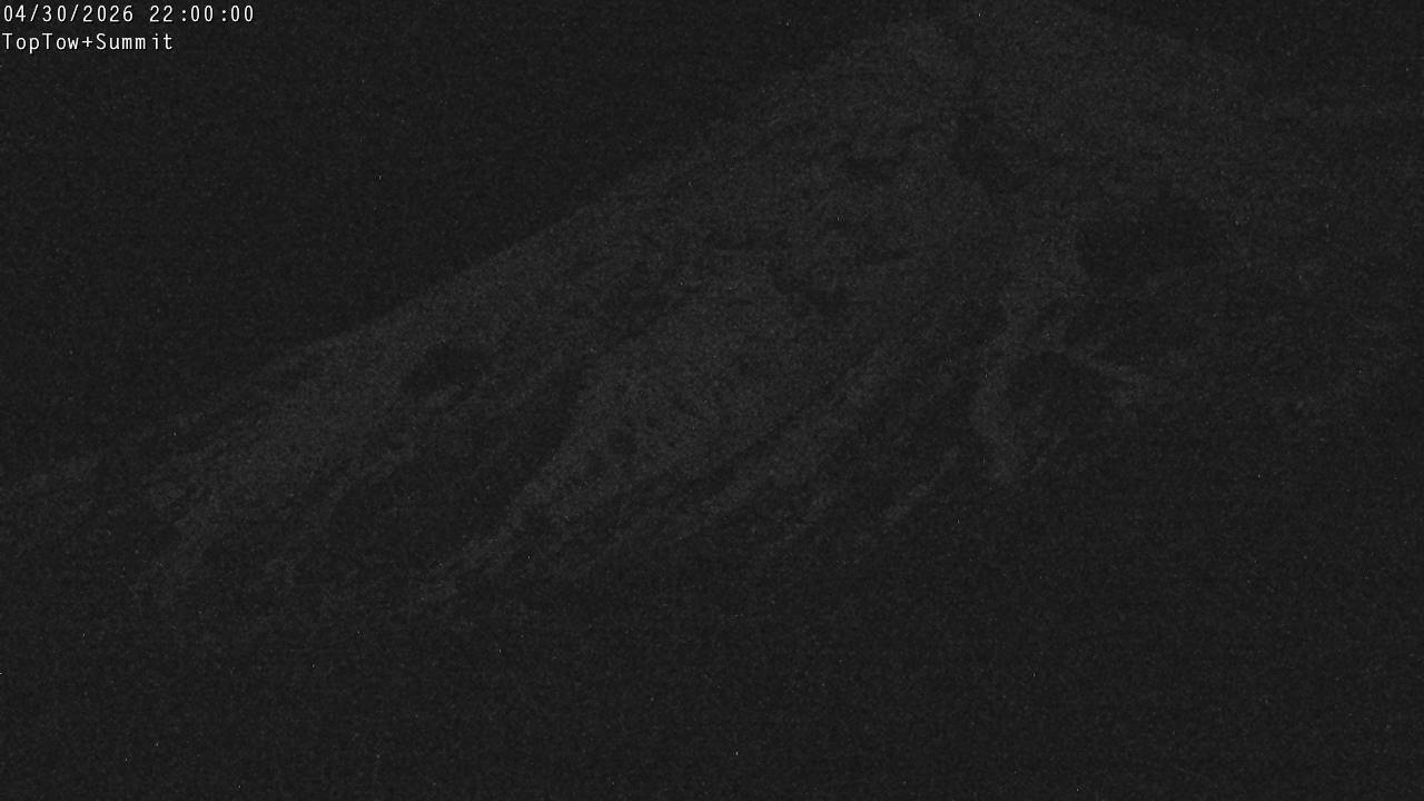 Top Tow, fixed zoom lens camera