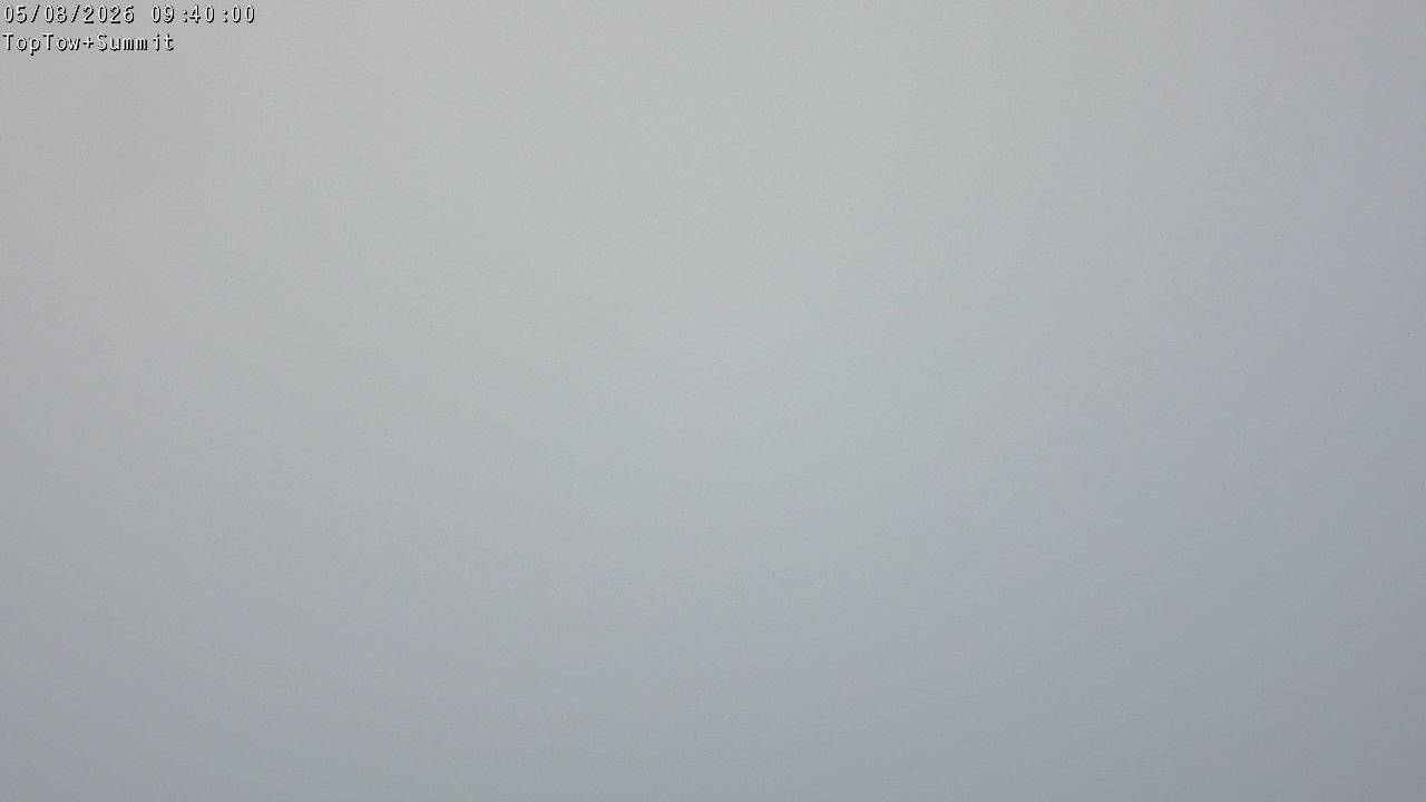 Top Tow, fixed zoom lens camera