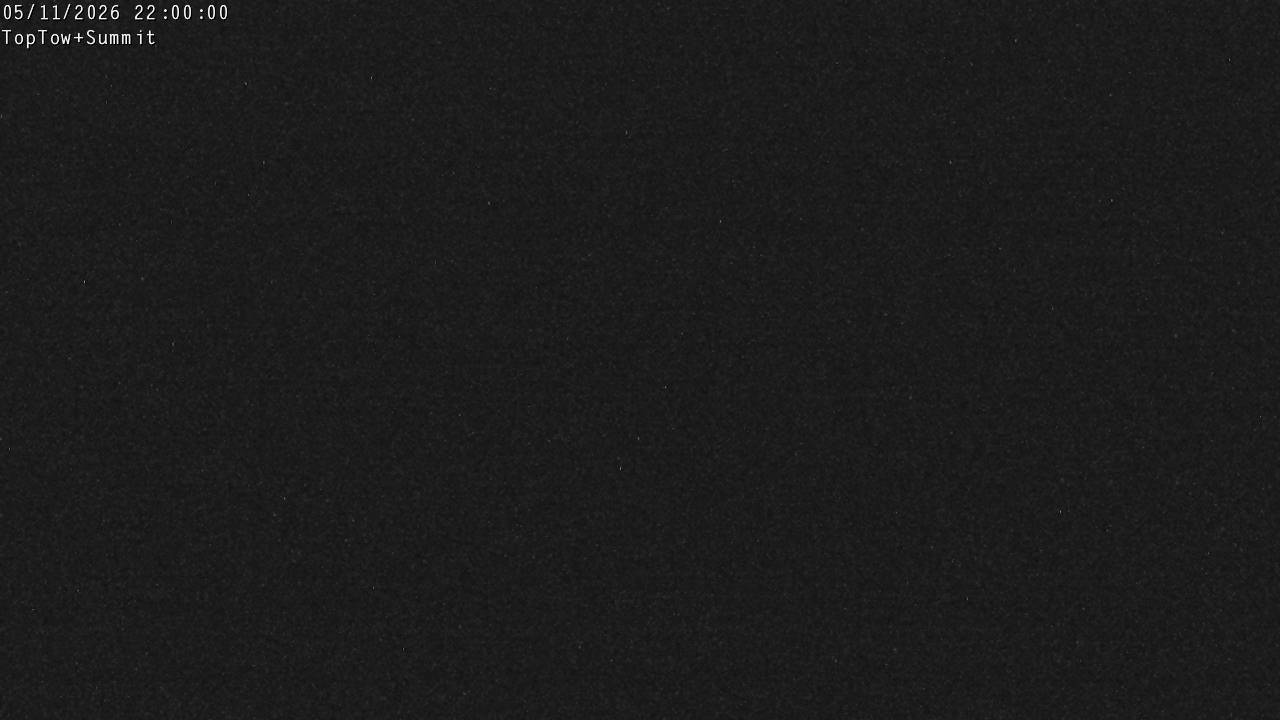 Top Tow, fixed zoom lens camera