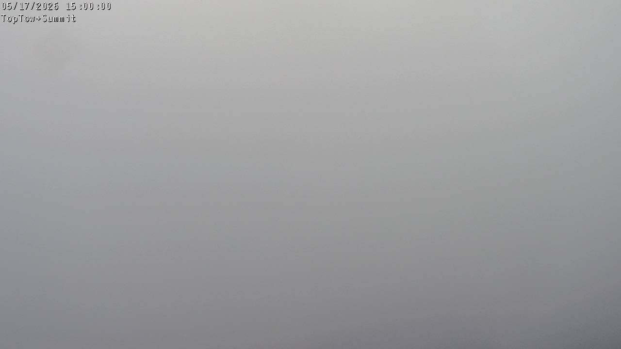 Top Tow, fixed zoom lens camera