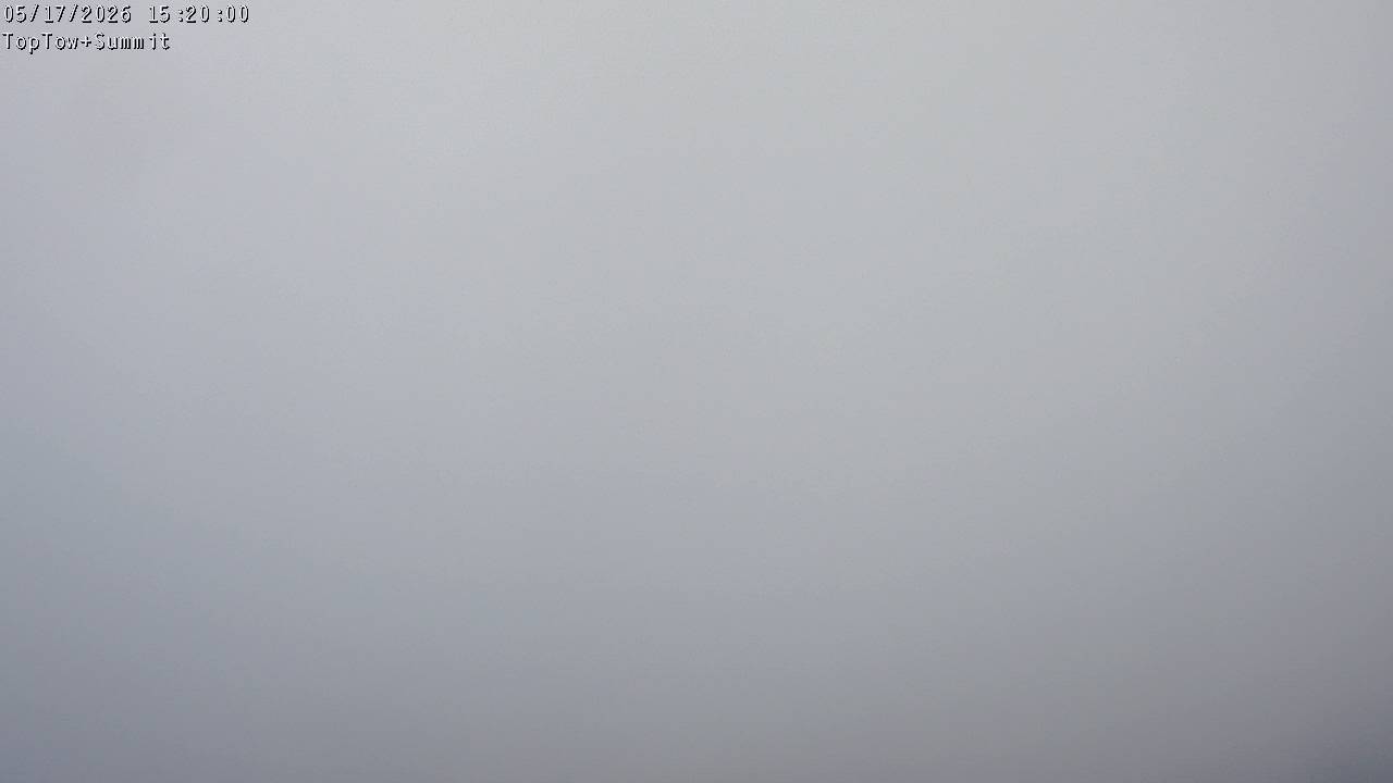 Top Tow, fixed zoom lens camera