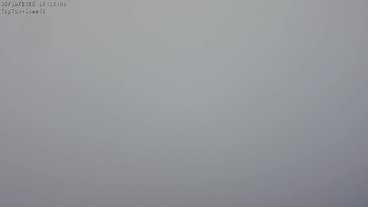Top Tow, fixed zoom lens camera