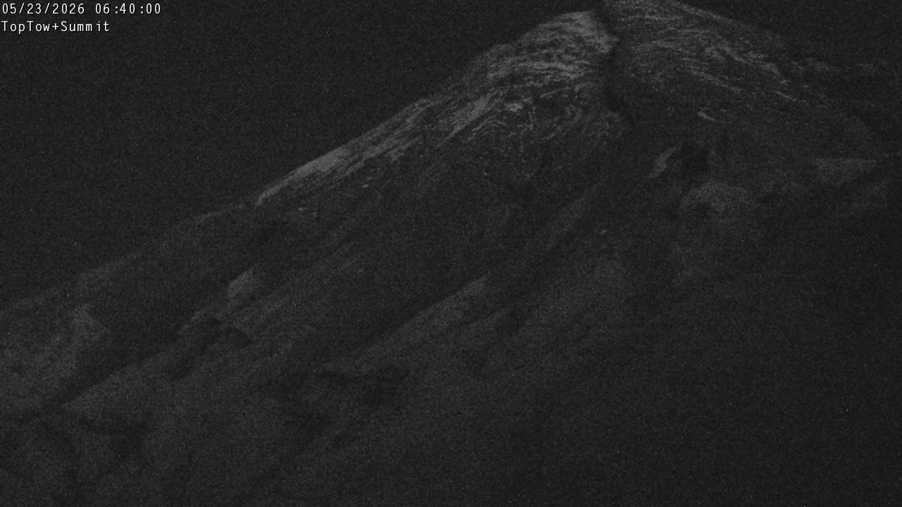 Top Tow, fixed zoom lens camera