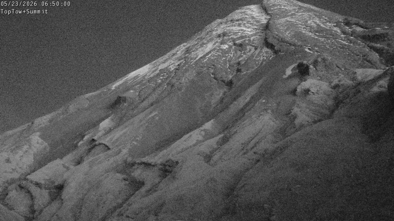 Top Tow, fixed zoom lens camera