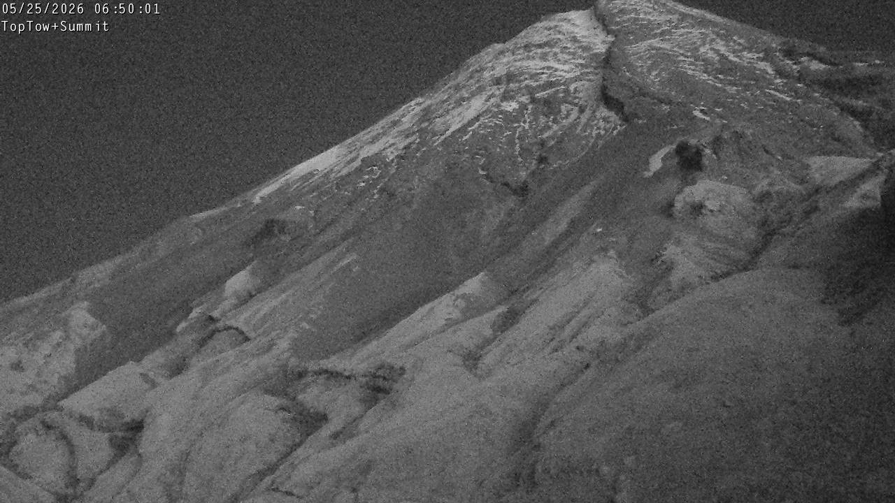 Top Tow, fixed zoom lens camera