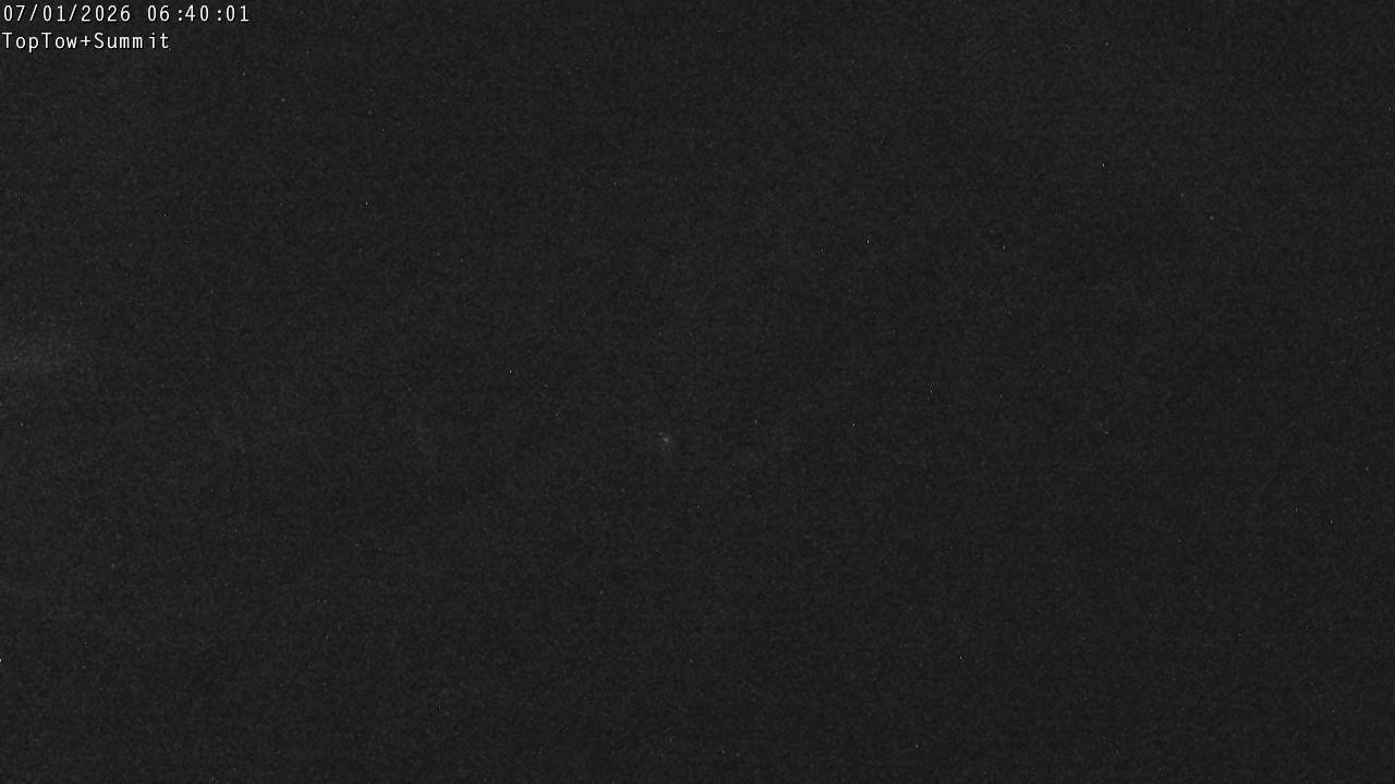 Top Tow, fixed zoom lens camera