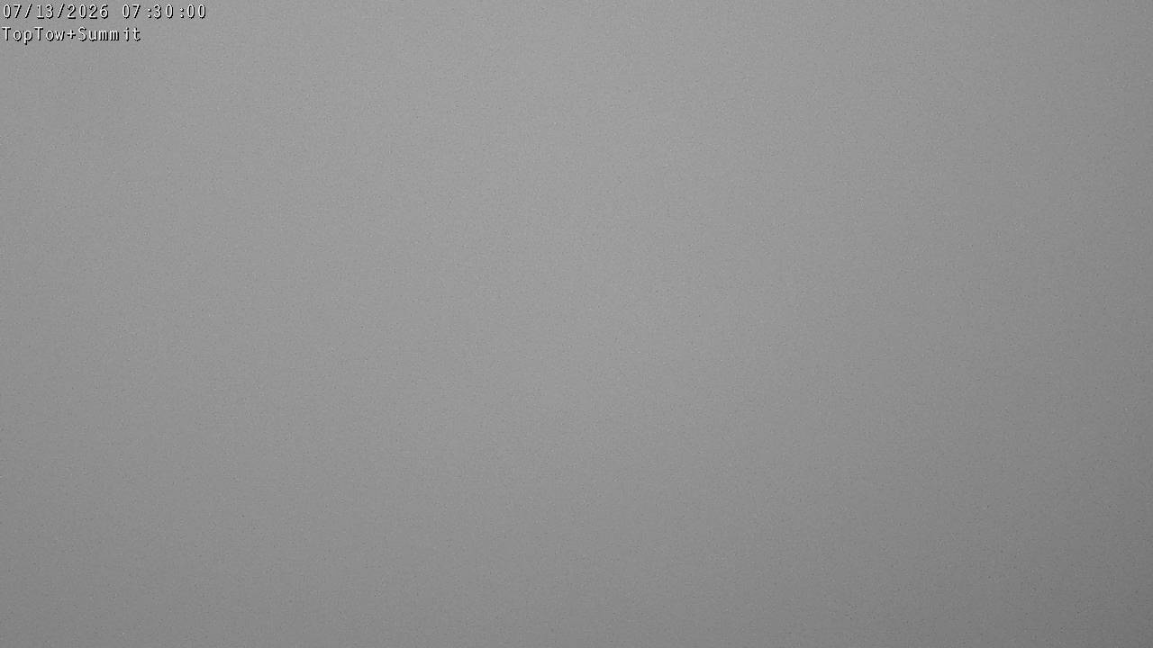 Top Tow, fixed zoom lens camera