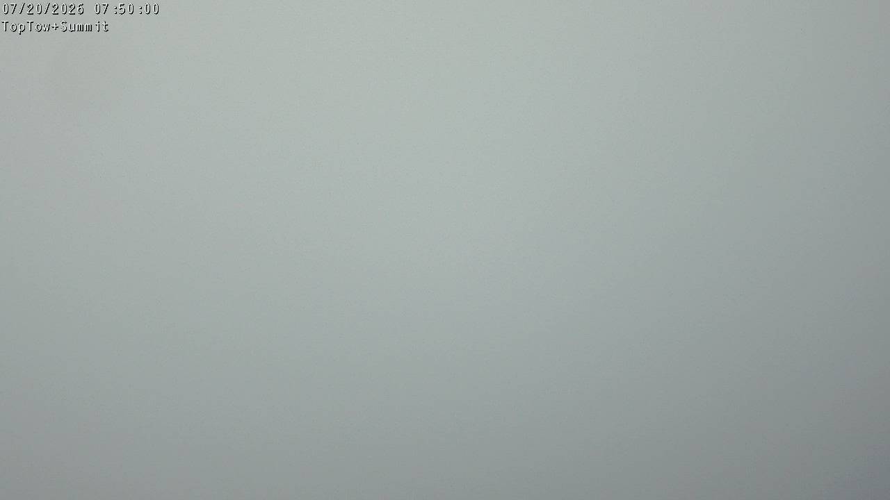 Top Tow, fixed zoom lens camera