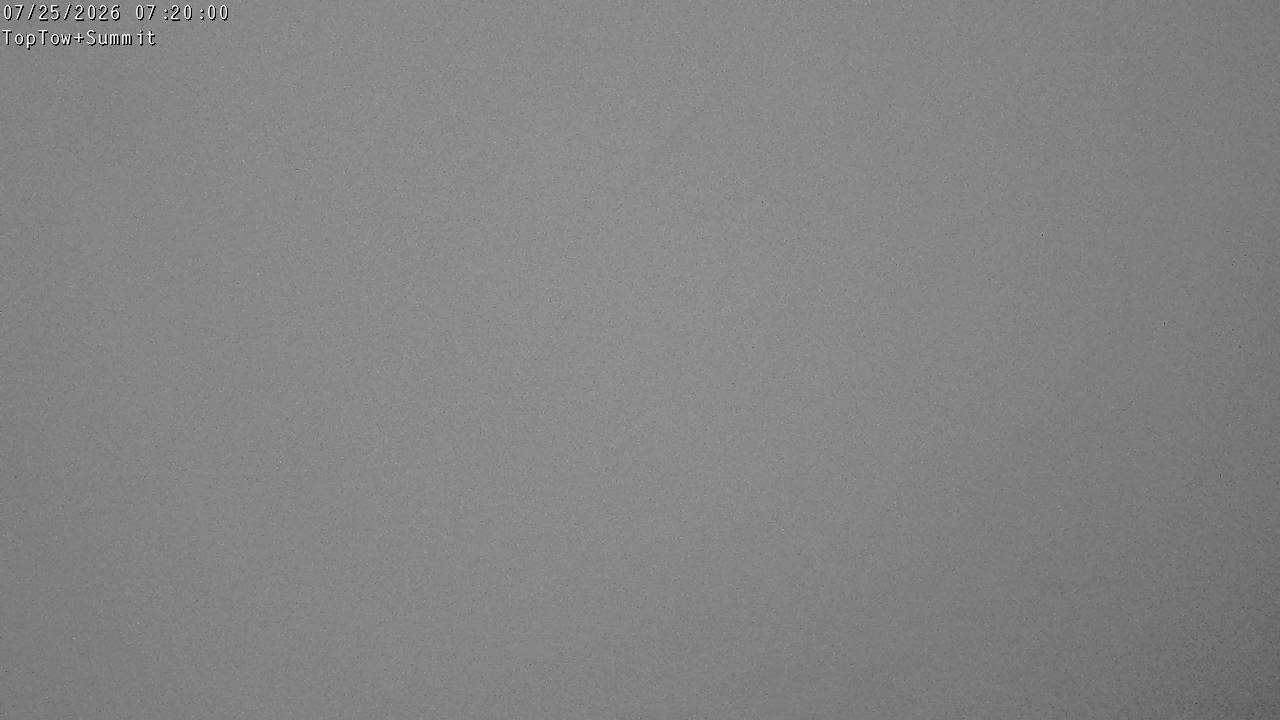 Top Tow, fixed zoom lens camera