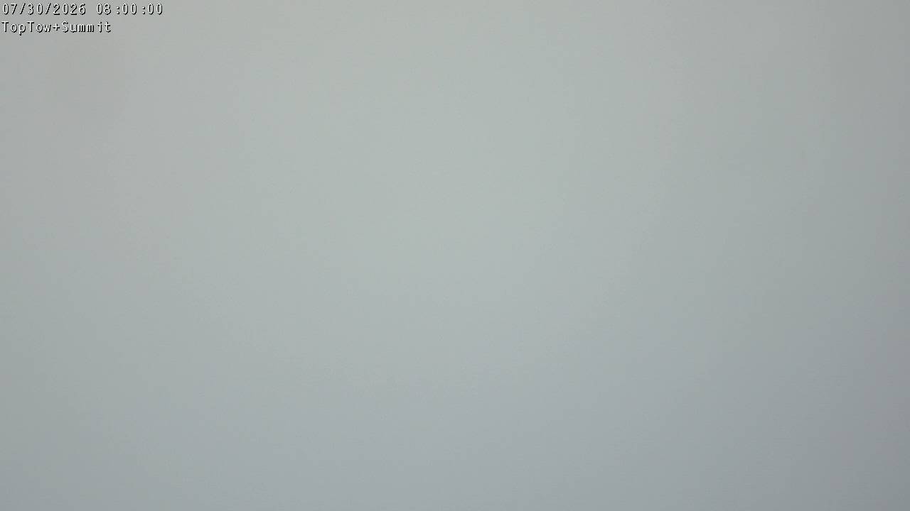 Top Tow, fixed zoom lens camera