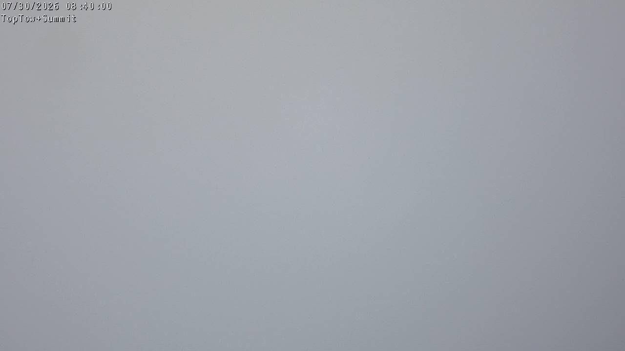Top Tow, fixed zoom lens camera