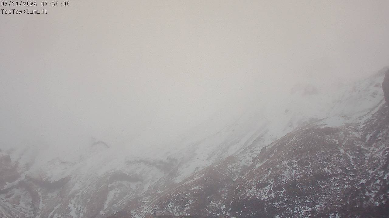 Top Tow, fixed zoom lens camera
