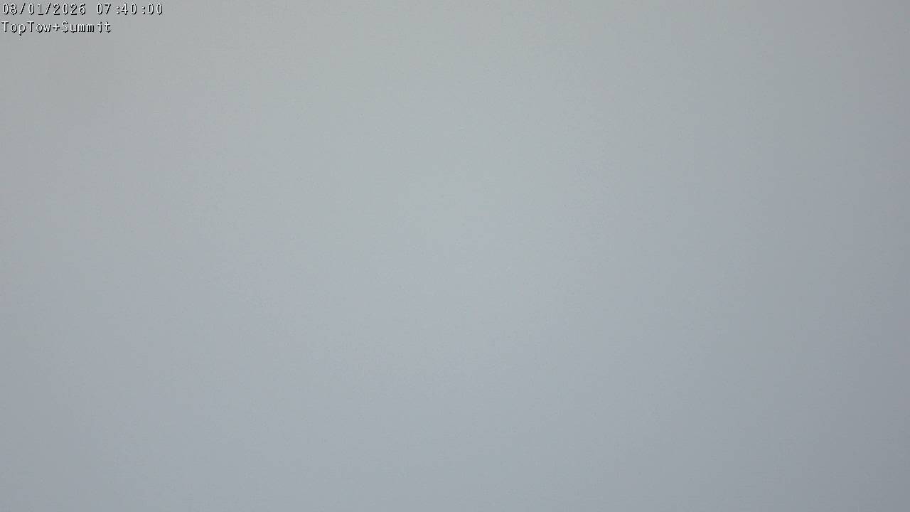 Top Tow, fixed zoom lens camera