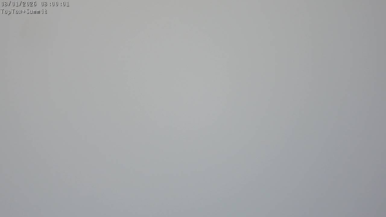 Top Tow, fixed zoom lens camera