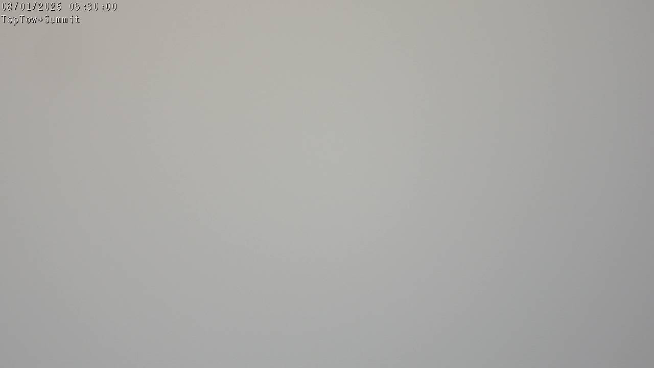 Top Tow, fixed zoom lens camera