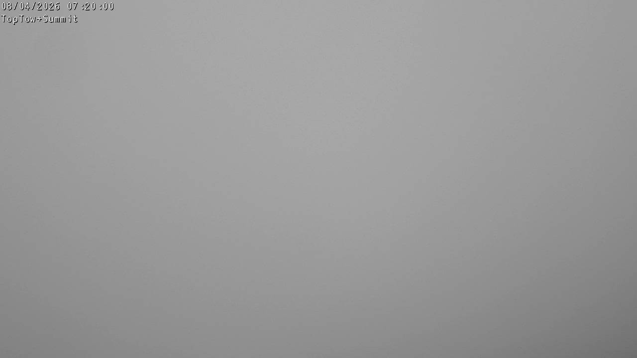 Top Tow, fixed zoom lens camera