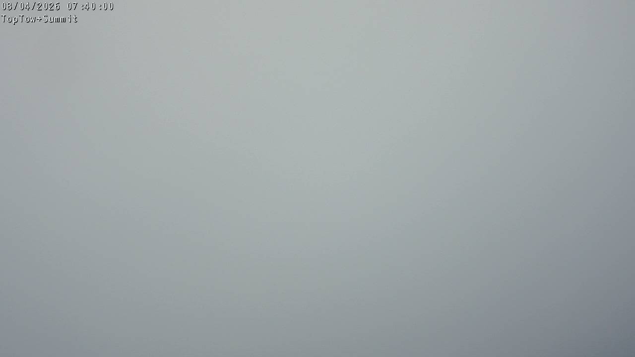 Top Tow, fixed zoom lens camera