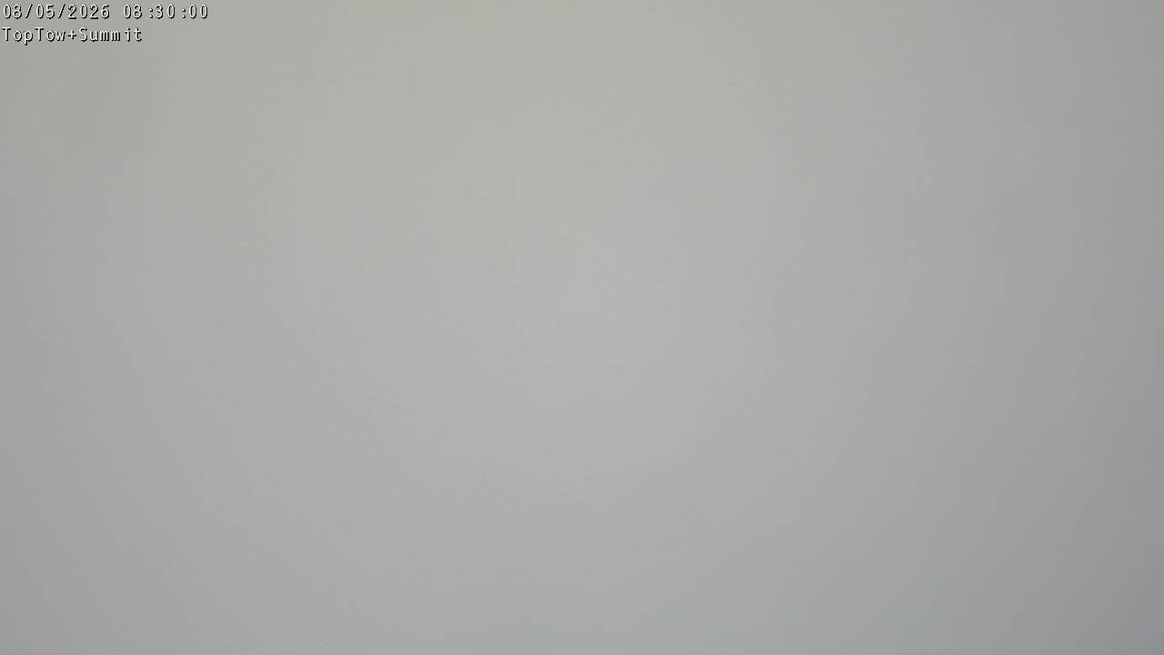 Top Tow, fixed zoom lens camera