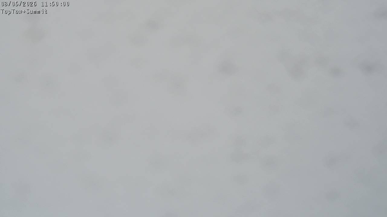 Top Tow, fixed zoom lens camera