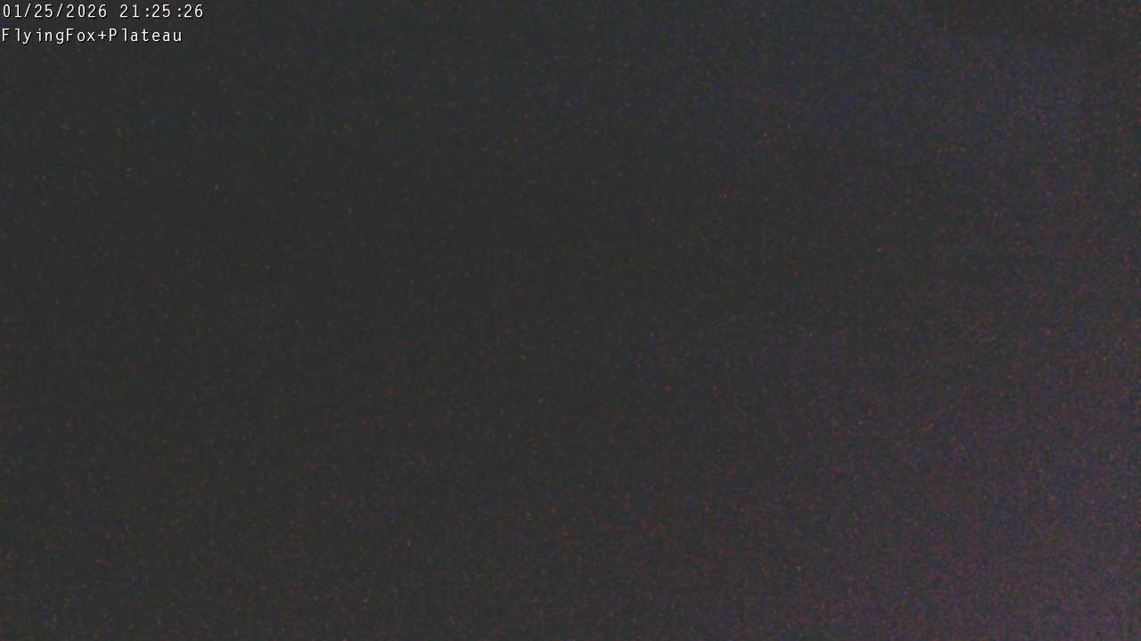 Flying Fox Goods List top station, fixed lens camera