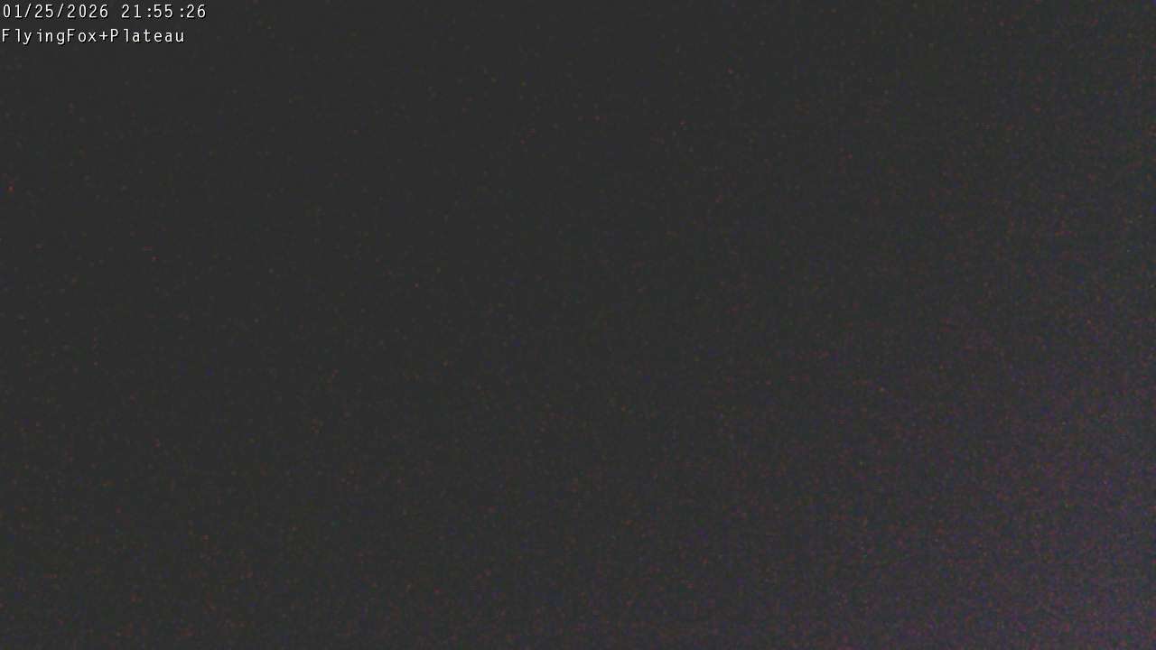 Flying Fox Goods List top station, fixed lens camera