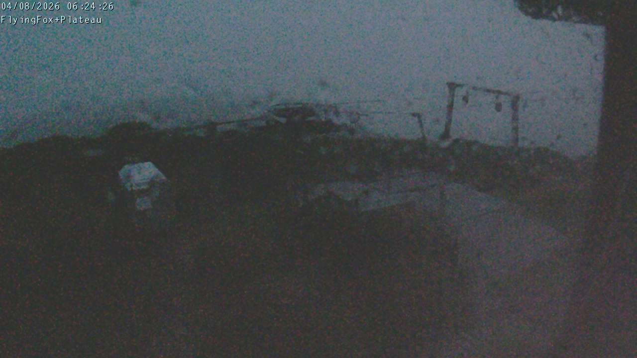 Flying Fox Goods List top station, fixed lens camera