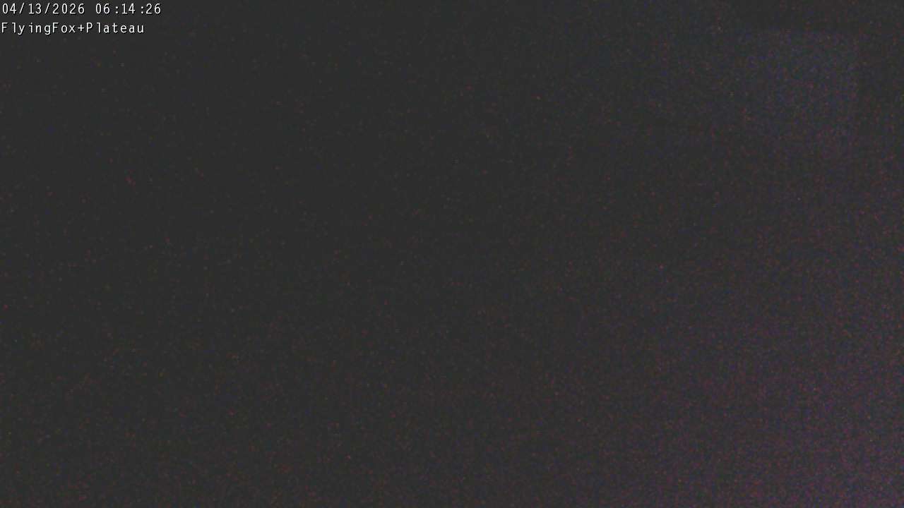 Flying Fox Goods List top station, fixed lens camera