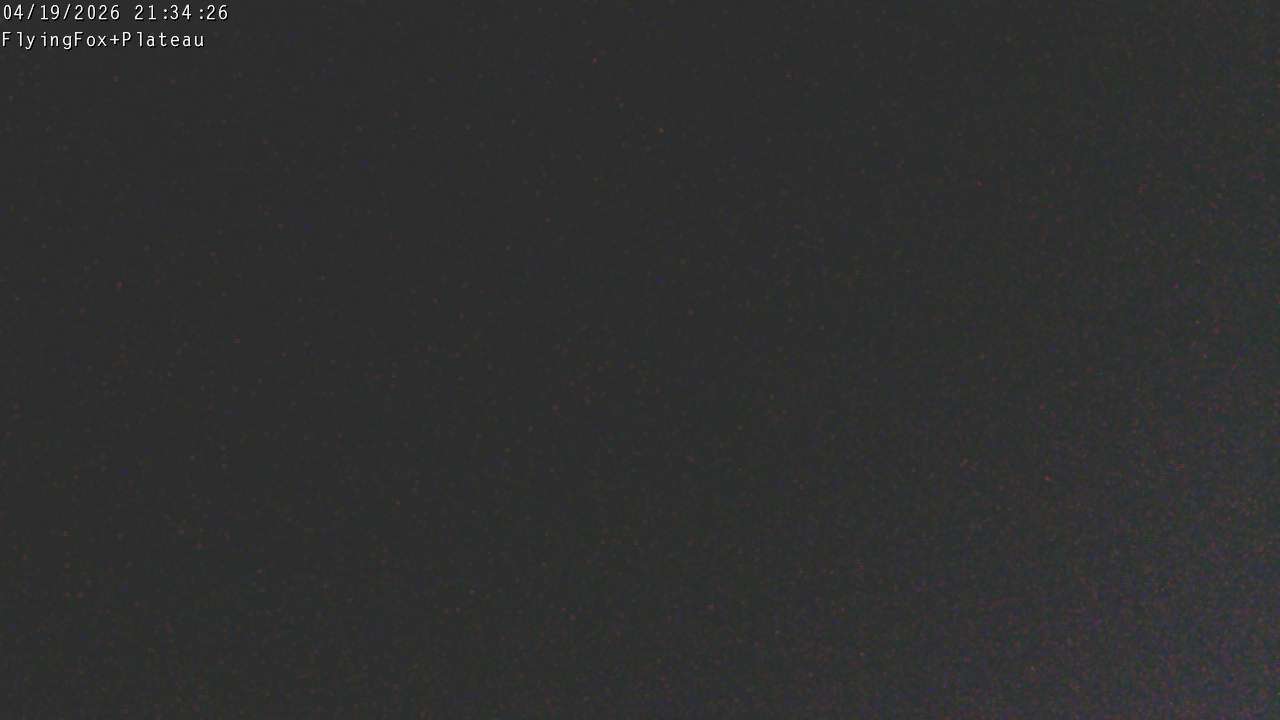 Flying Fox Goods List top station, fixed lens camera