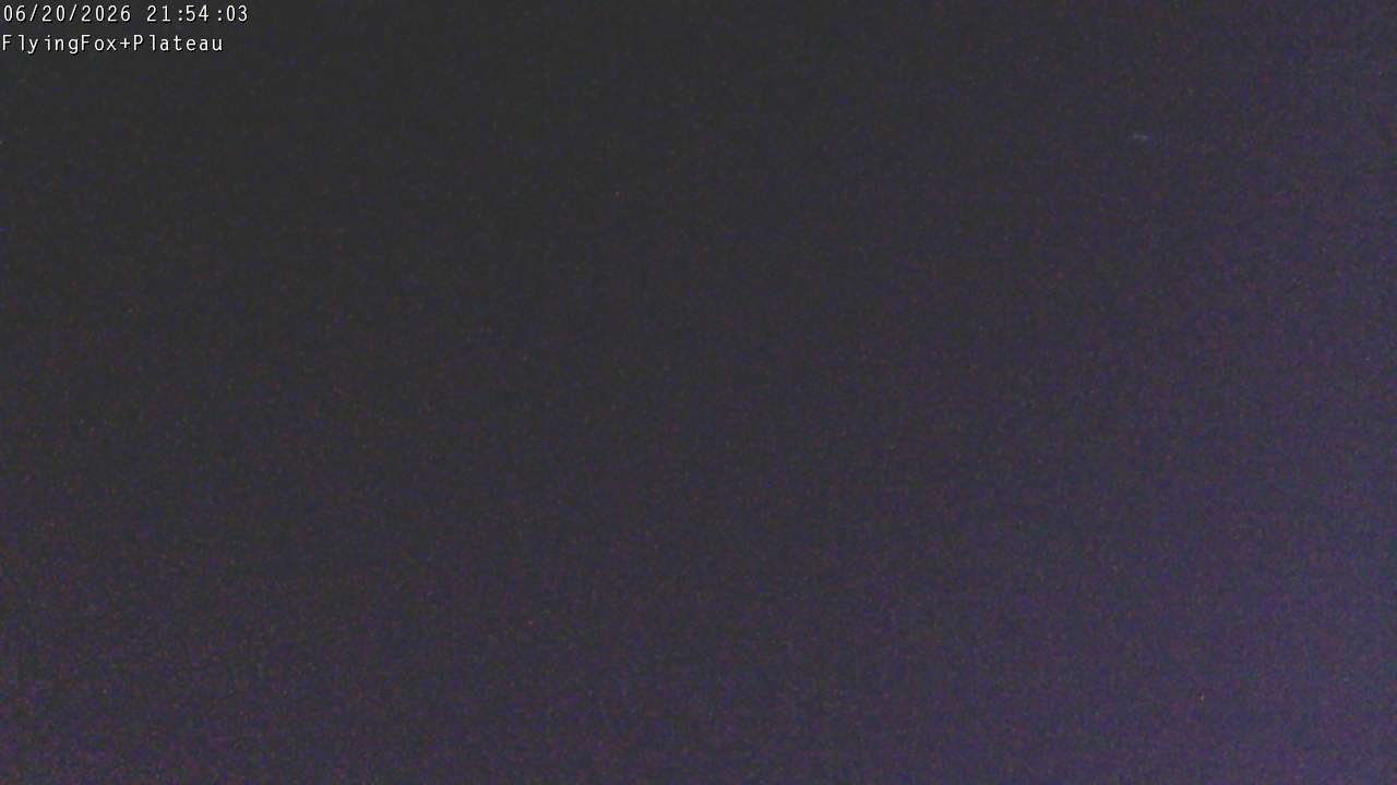 Flying Fox Goods List top station, fixed lens camera