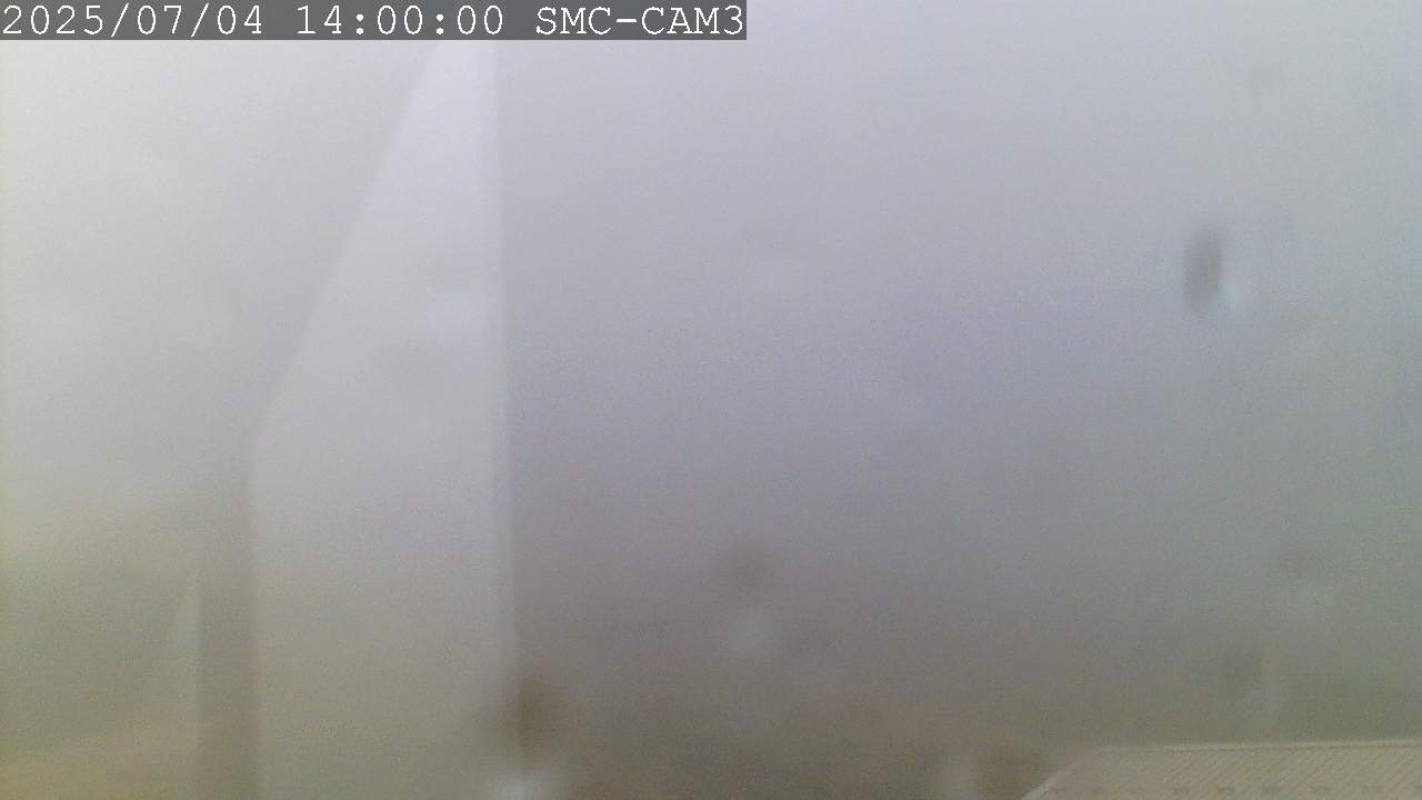 T-Bar, ptz camera