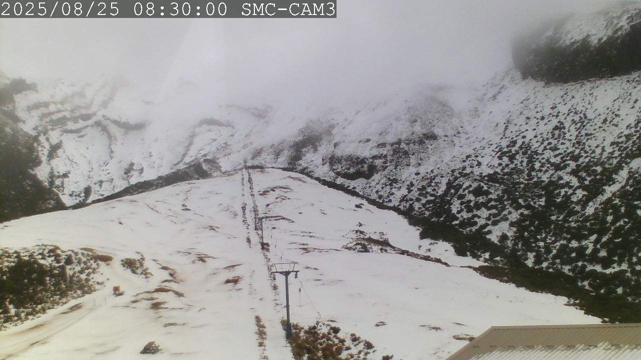 T-Bar, ptz camera