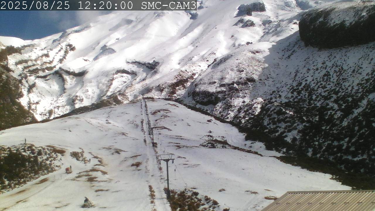 T-Bar, ptz camera