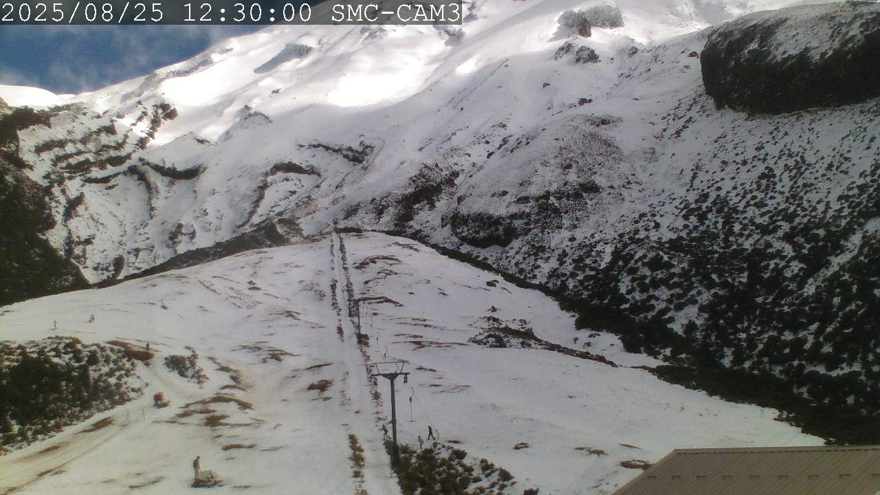 T-Bar, ptz camera
