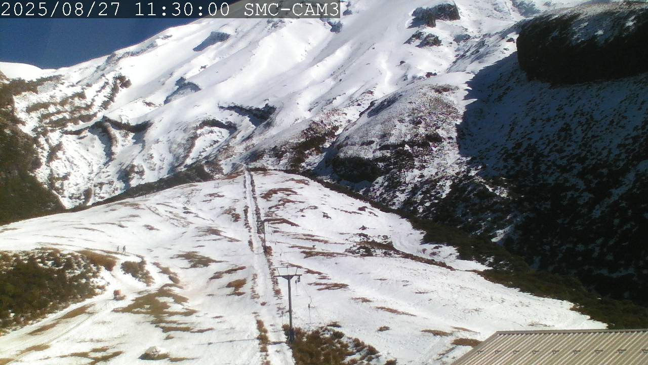 T-Bar, ptz camera