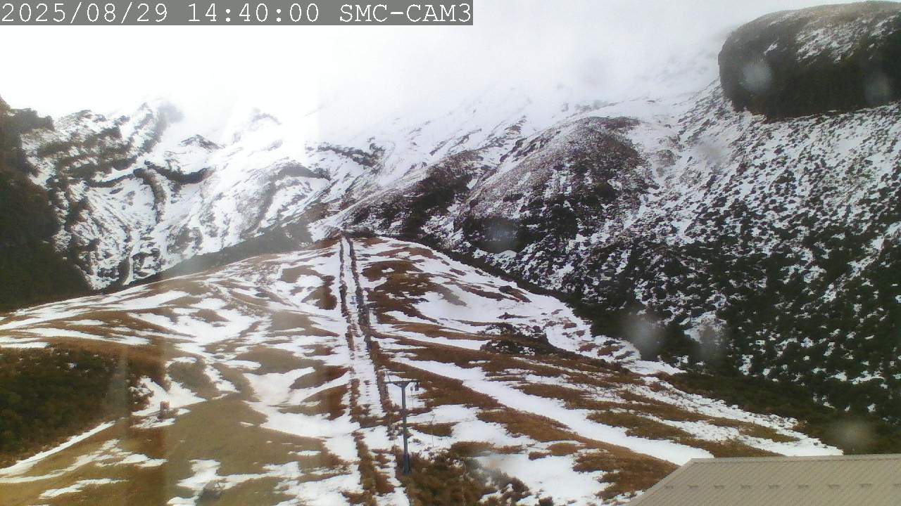 T-Bar, ptz camera