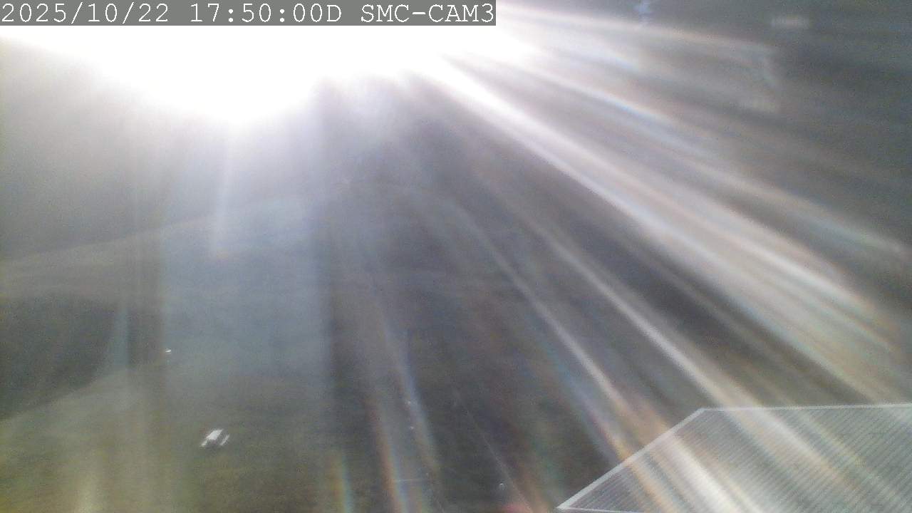 T-Bar, ptz camera