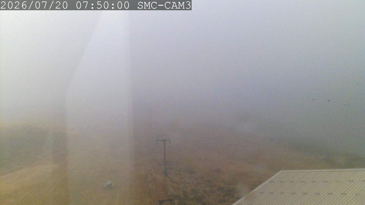 T-Bar, ptz camera