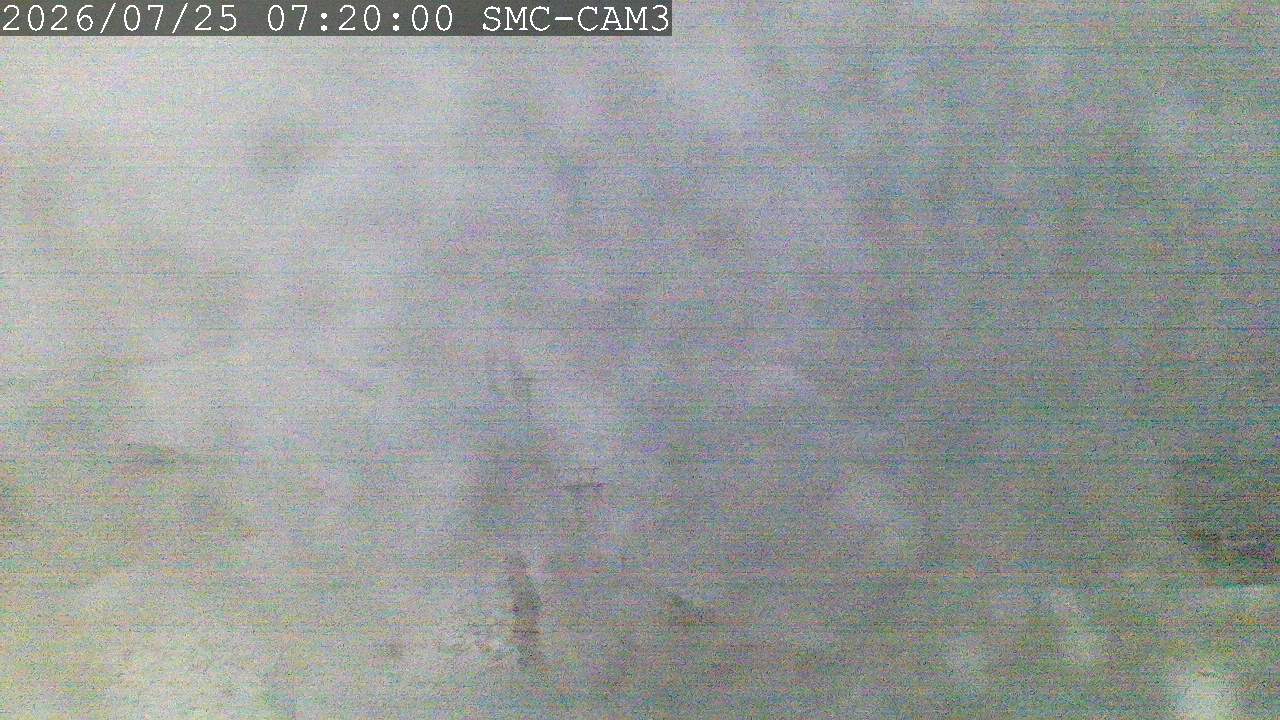 T-Bar, ptz camera
