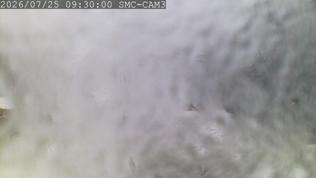 T-Bar, ptz camera