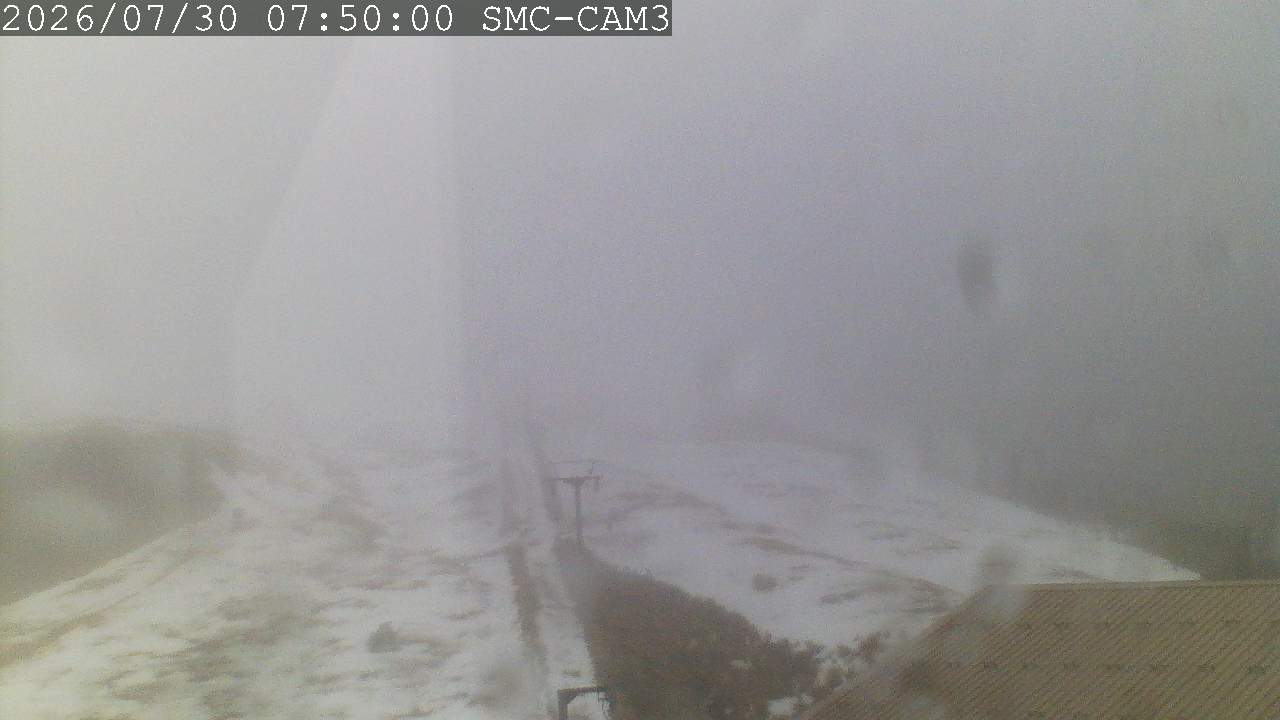 T-Bar, ptz camera
